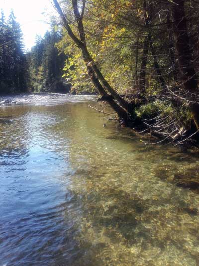Exklusives und wunderschönes Salmoniedenrevier für Fliegenfischer - Mürz-Scheiterboden Exklusives und wunderschönes Salmoniedenrevier für Fliegenfischer - Mürz-Scheiterboden
