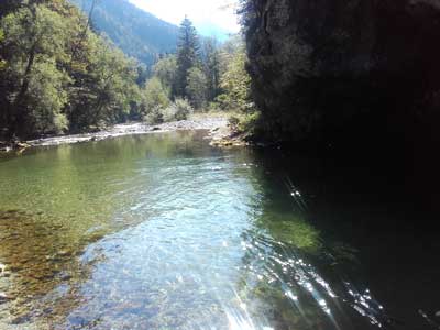 Dieser Gewässerabschnitt der Mürz ist ein Salmoniedenrevier der absoluten Oberklasse und von wildromantischer Landschaft geprägt. Dieser Gewässerabschnitt der Mürz ist ein Salmoniedenrevier der absoluten Oberklasse und von wildromantischer Landschaft geprägt.