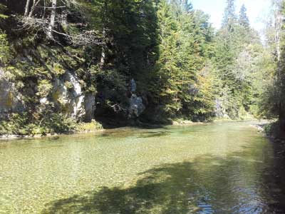 Exklusives und wunderschönes Salmoniedenrevier für Fliegenfischer - Mürz-Scheiterboden Exklusives und wunderschönes Salmoniedenrevier für Fliegenfischer - Mürz-Scheiterboden