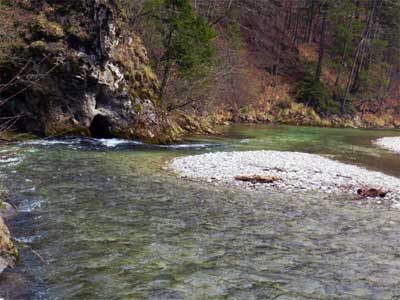 Im Oberlauf der Mürz gibt es bei Neuberg ein 10km langes sehr attraktives Fliegenfischrevier. Bach- und Regenbogenforellen können mit Spinnrute und Kunstköder (Einfachschonhaken) gefischt werden. Im Oberlauf der Mürz gibt es bei Neuberg ein 10km langes sehr attraktives Fliegenfischrevier. Bach- und Regenbogenforellen können mit Spinnrute und Kunstköder (Einfachschonhaken) gefischt werden.
