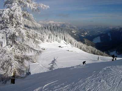 Winterpanorama Winterpanorama