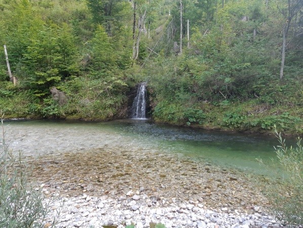 Die Mürz, Abschnitt Frein, ist ein idyllisch gelegenes, natürliches Fliegenfischgewässer. Die Mürz, Abschnitt Frein, ist ein idyllisch gelegenes, natürliches Fliegenfischgewässer.