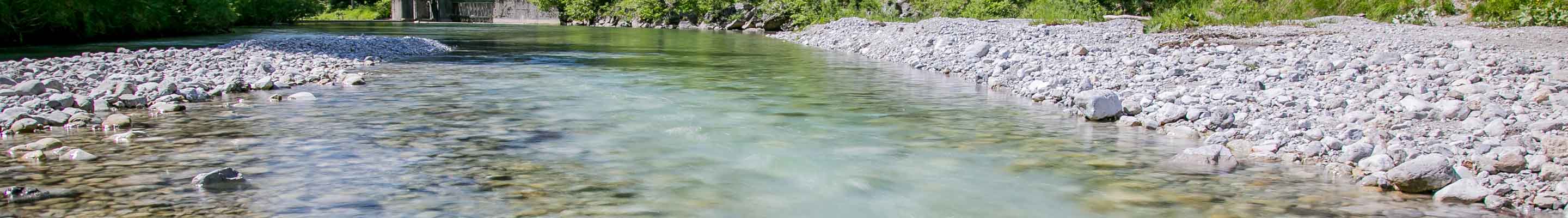 Die Mürz - exklusives und wunderschönes Salmoniedenrevier für Fliegenfischer Die Mürz - exklusives und wunderschönes Salmoniedenrevier für Fliegenfischer