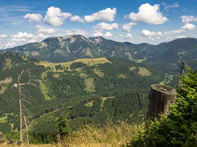 Frein: Rosswiese - Blick auf die Hinteralm