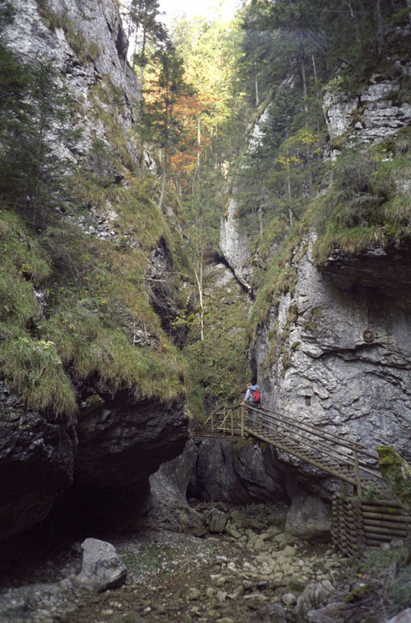 Leicht erreichbarer Ausflugstipp: Bärenschützklamm , liegt in der Steiermark (bei Mixnix) und ist eine wasserführende Felsenklamm.