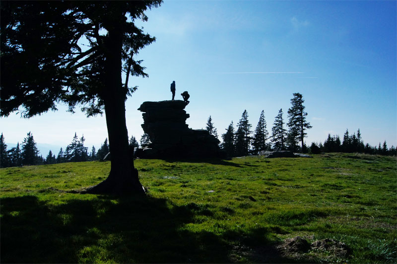 Leicht erreichbarer Ausflugstipp: Teufelstein (Fischbacher Alpen), ist mit 1498m der höchste Punkt des Gemeindegebietes von Fischbach in der Steiermark. Die Teufelsteinrunde ist eine mittelschwere Wanderung entlang des bekannten Mariazeller Wallfahrtsweges.