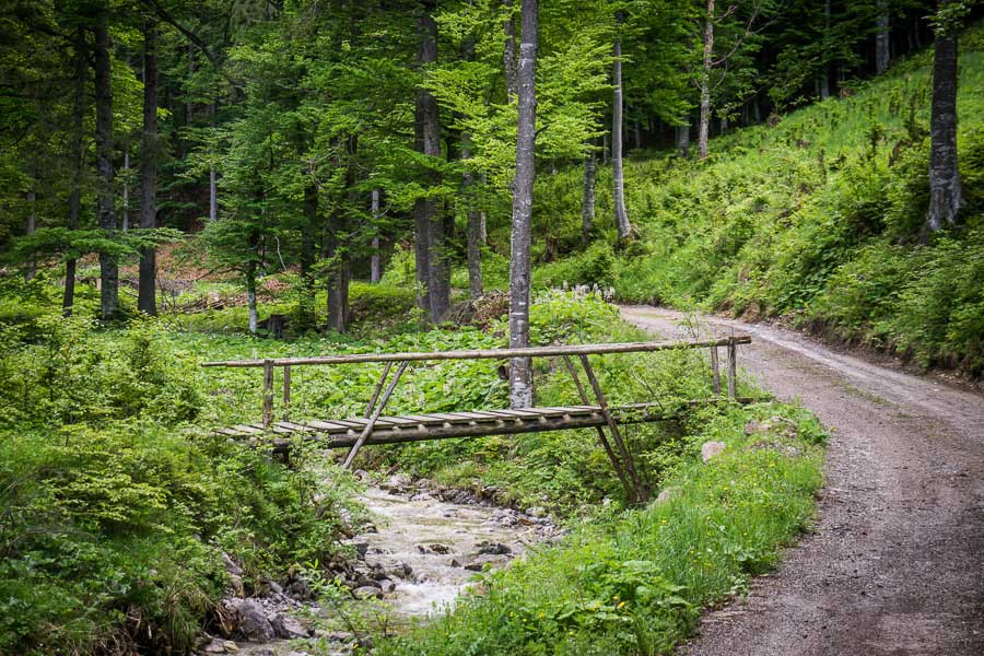 Wanderung: Hofalm Schnalzstein