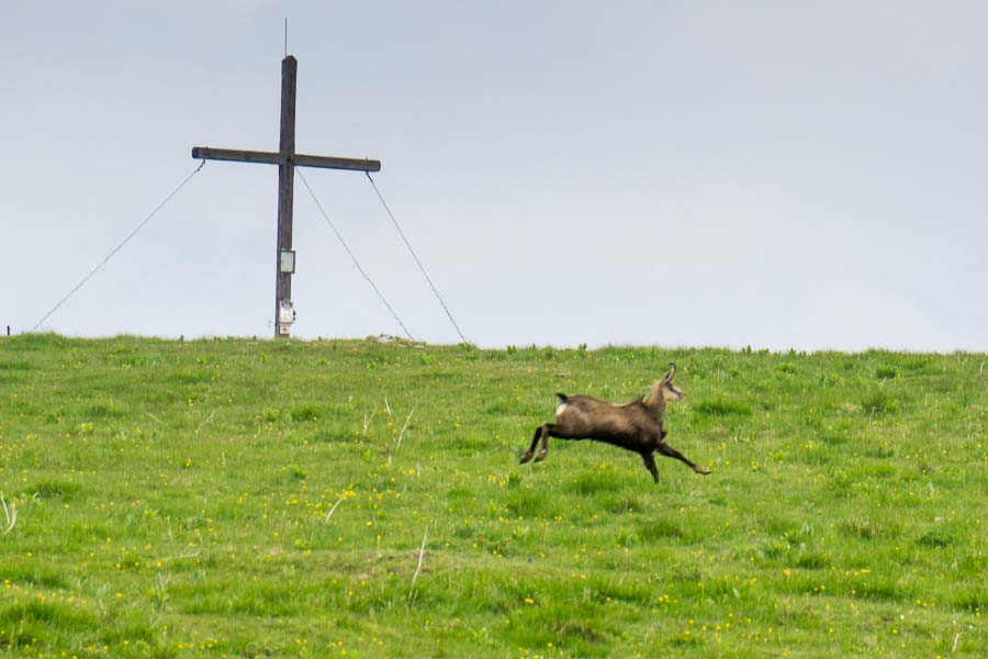 Wanderung: Hofalm Schnalzstein