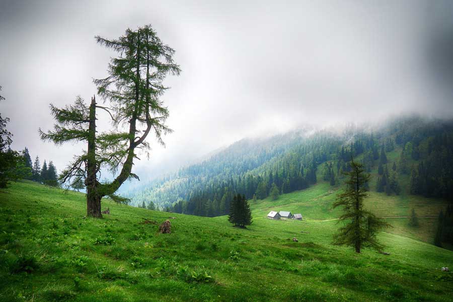 Wanderung: Sohlenalm - Niederalpl