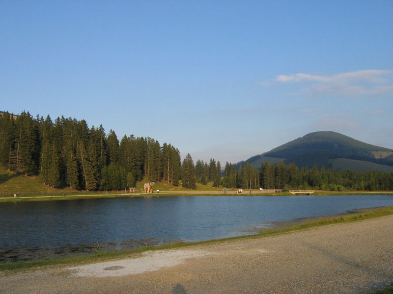 Leicht erreichbarer Ausflugstipp: Die Teichalm und Sommeralm bilden eines der größten zusammenhängenden Almgebiete der Alpen und gehört zu den Gemeinden Fladnitz an der Teichalm, Passail und Sankt Kathrein am Offenegg. Der Teichalmsee liegt auf 1.200m Seehöhe und der optimale Ausgangspunkt für ausgedehnte Wanderungen verschiedener Schwierigkeitsgrade und Längen.