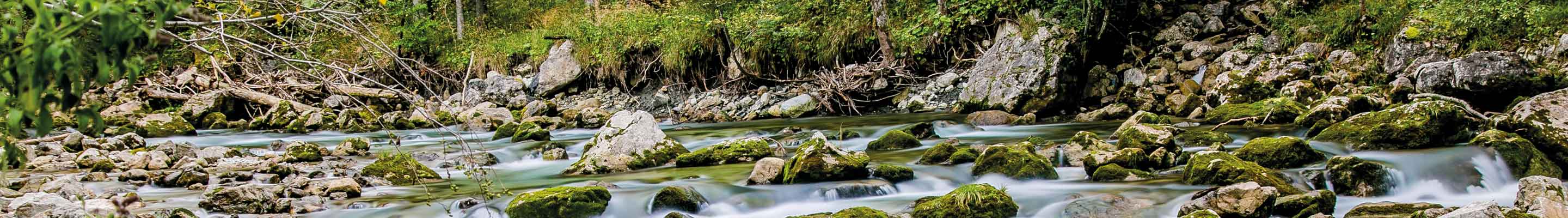 die Mürz in der Gegend um Frein die Mürz in der Gegend um Frein
